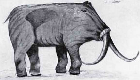 Мамонт - i_009.jpg