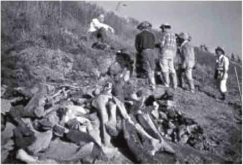 Мамонт - i_015.jpg