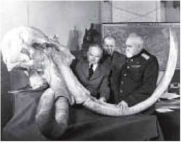 Мамонт - i_019.jpg