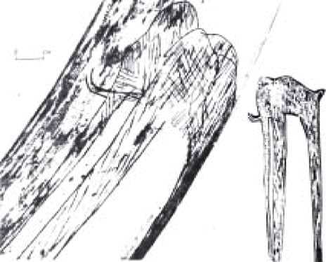 Мамонт - i_023.jpg