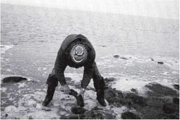 Мамонт - i_024.jpg