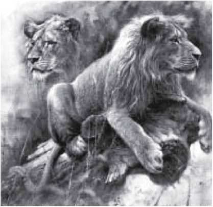 Мамонт - i_028.jpg