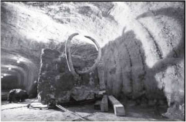 Мамонт - i_033.jpg