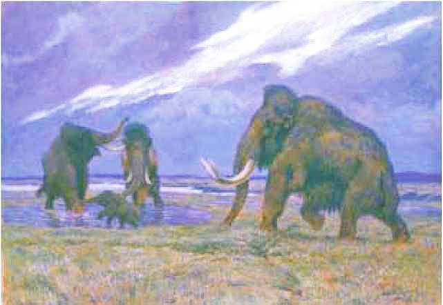 Мамонт - i_039.jpg