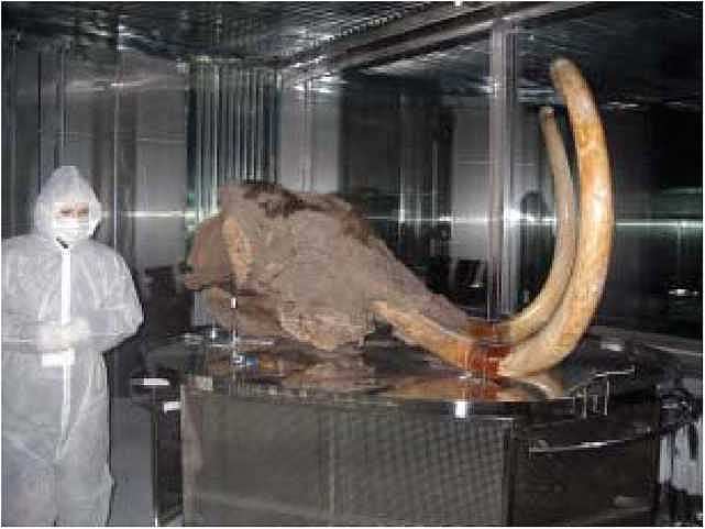 Мамонт - i_045.jpg