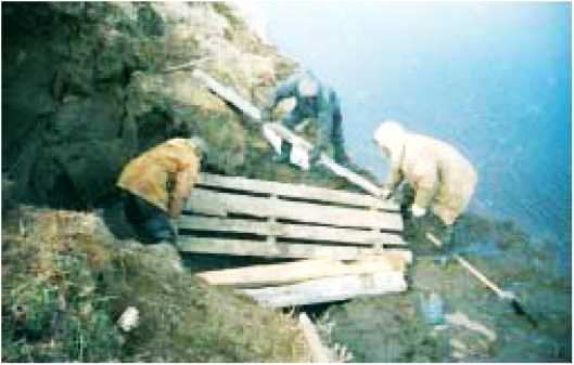 Мамонт - i_046.jpg