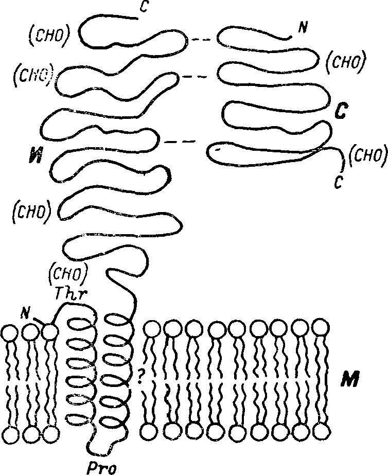 Естественные технологии биологических систем - _1.jpg