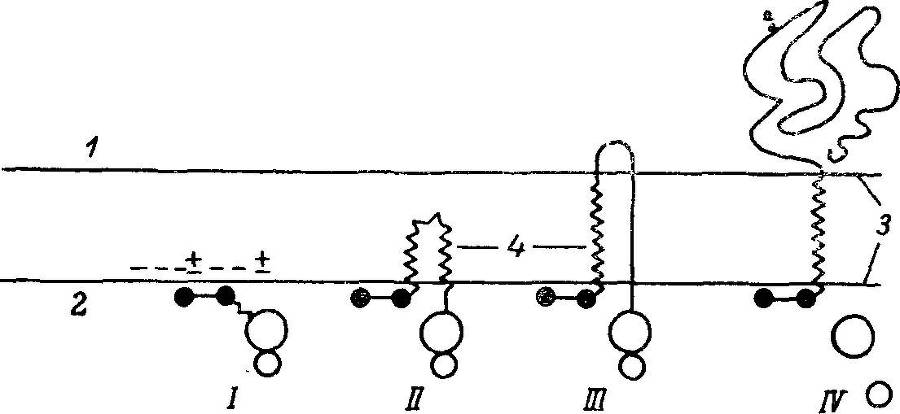 Естественные технологии биологических систем - _2.jpg
