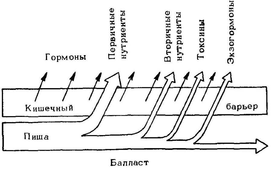 Естественные технологии биологических систем - _19.jpg