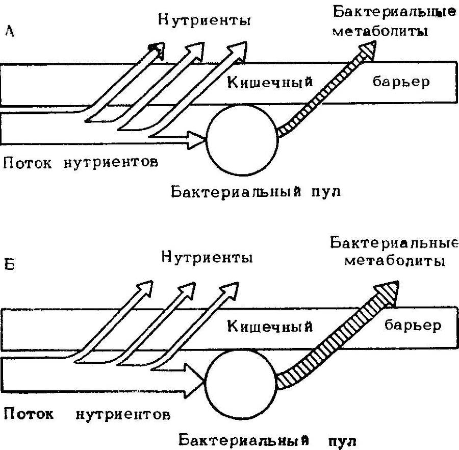 Естественные технологии биологических систем - _20.jpg