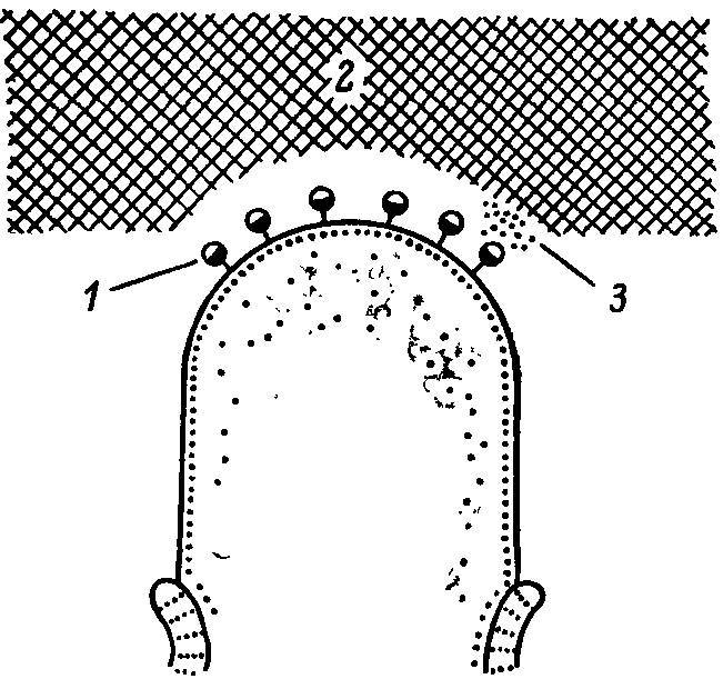 Естественные технологии биологических систем - _24.jpg