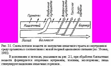 Теория адекватного питания и трофология - _10.jpg