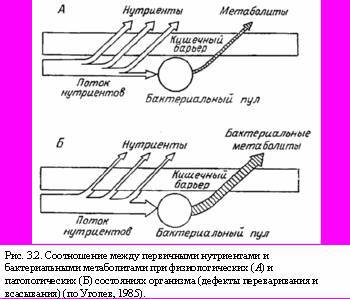 Теория адекватного питания и трофология - _11.jpg
