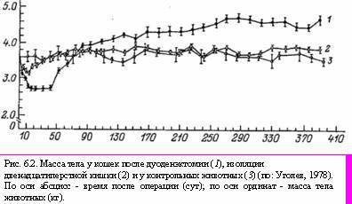 Теория адекватного питания и трофология - _18.jpg