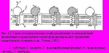 Теория адекватного питания и трофология - _2.jpg