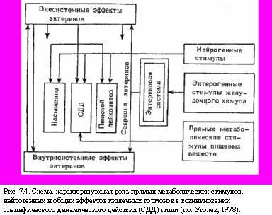 Теория адекватного питания и трофология - _23.jpg