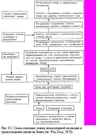 Теория адекватного питания и трофология - _27.jpg