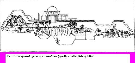 Теория адекватного питания и трофология - _8.jpg
