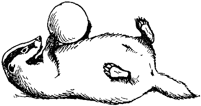 Игра у животных - i_001.png