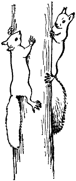 Игра у животных - i_003.png