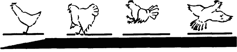 Основы зоопсихологии - i_007.png