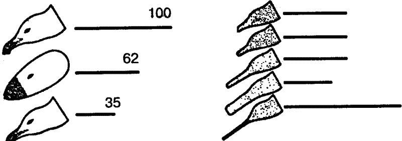 Основы зоопсихологии - i_008.png