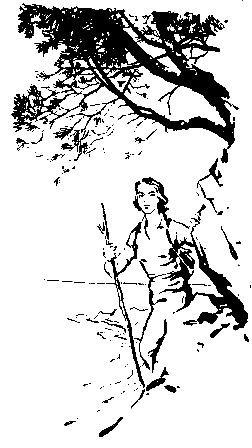 Встречный ветер. Повести - pic_41.png