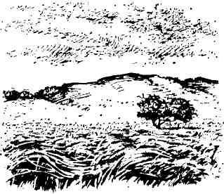 Когда сверкает молния - img_2.jpg