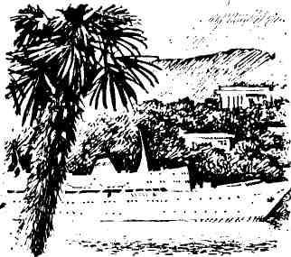 Когда сверкает молния - img_3.jpg