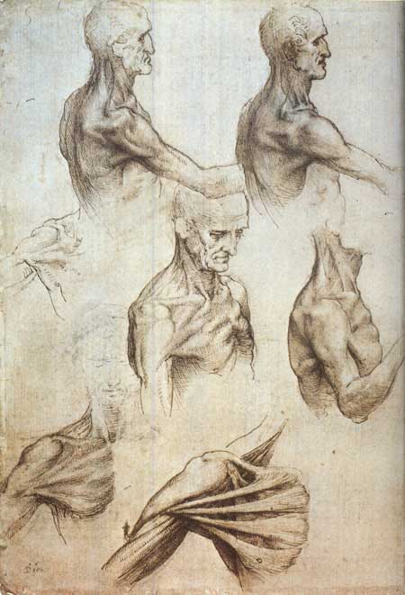 Леонардо да Винчи. Как художник, ученый и философ - i_010.jpg