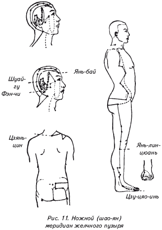 Китайская медицина для всей семьи - i_014.png