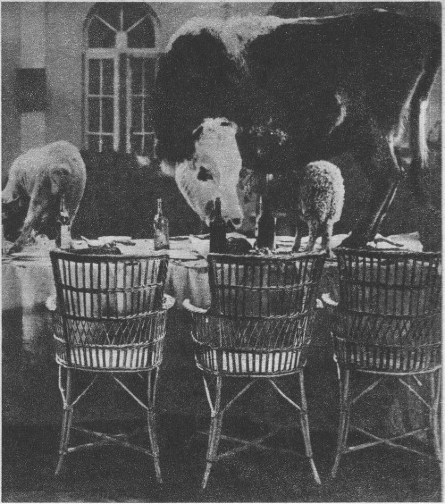 Григорий Александров - _1.jpg