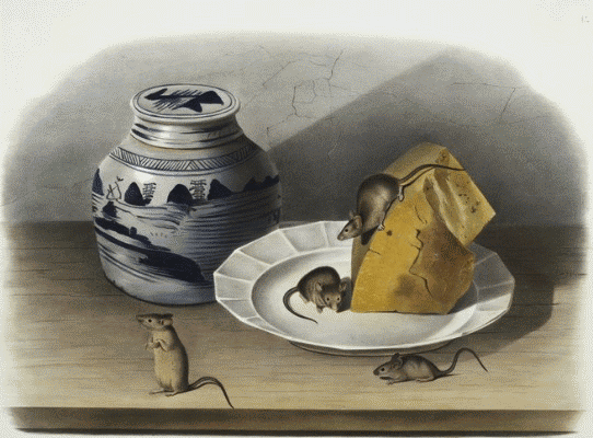 Дневник проказника (др. перевод) - _15.png