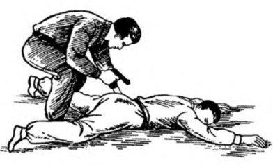 Система самбо - img_246.jpg