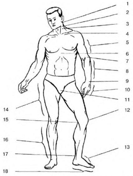 Система самбо - img_361.jpg