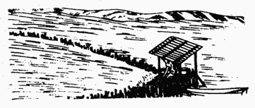 Дневник эфемерной жизни (с иллюстрациями) - CN117R.png