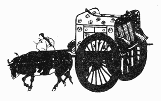 Дневник эфемерной жизни (с иллюстрациями) - CN148R.png