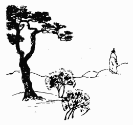 Дневник эфемерной жизни (с иллюстрациями) - CN163R.png