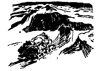 Пришедшие издалека - pic_9.png