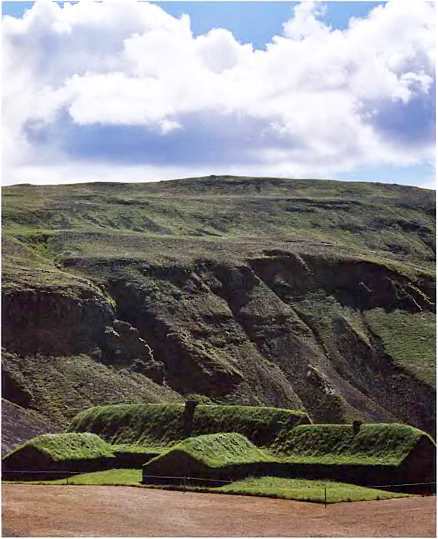 Викинги. Мореплаватели, пираты и воины - i_022.jpg