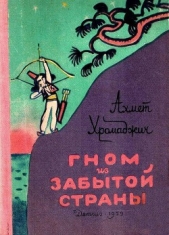 Гном из Забытой страны - автор Хромаджич Ахмет 