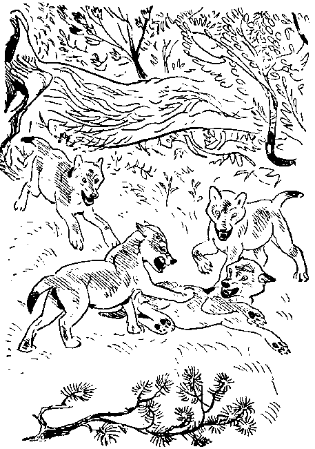 Окаменевшие волки - i_009.png