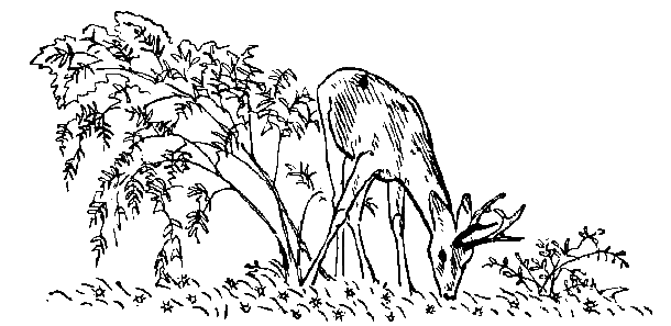 Окаменевшие волки - i_027.png