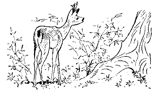 Окаменевшие волки - i_036.png