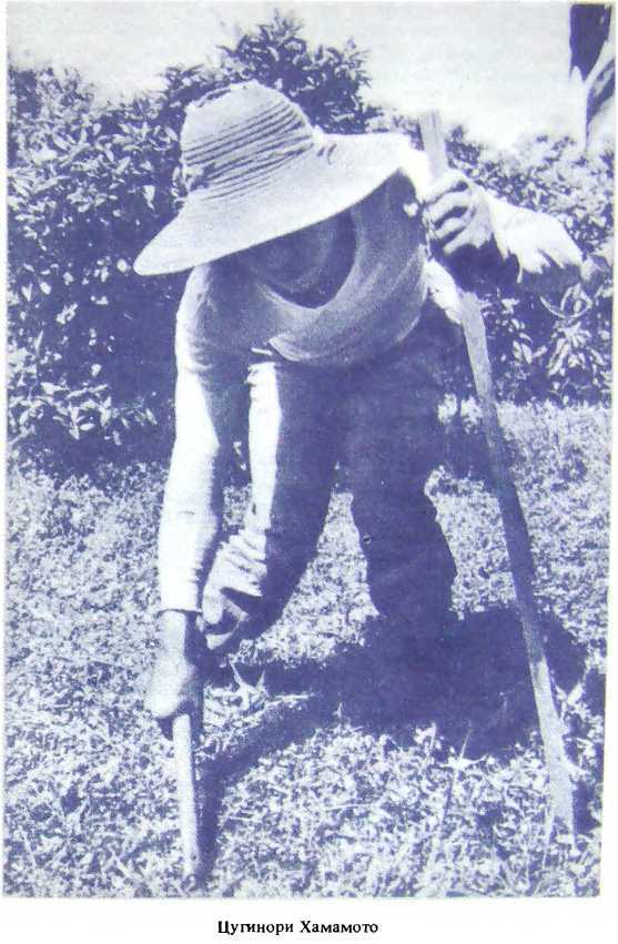 Отравители из Тиссо - image3.jpg