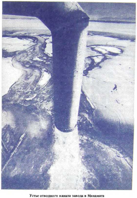 Отравители из Тиссо - image4.jpg