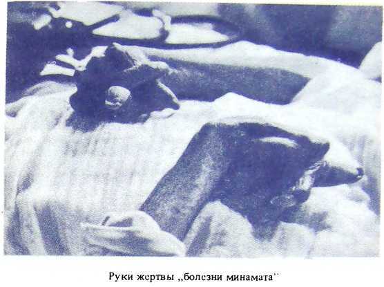 Отравители из Тиссо - image5.jpg