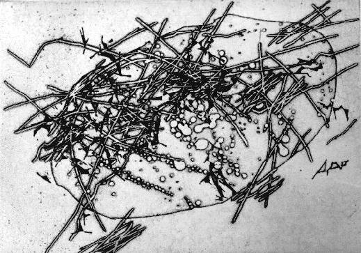 Говори и ты - img298A.jpg