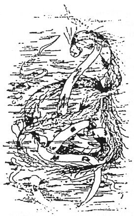 Чужая жизнь - i_003.jpg