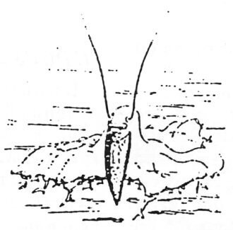 Чужая жизнь - i_007.jpg